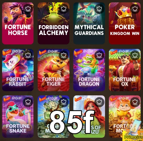 Atendimento VIP com suporte rápido e eficiente